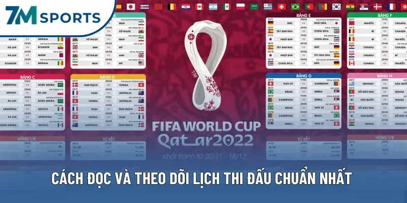 Hướng dẫn cách đọc và theo dõi lịch thi đấu chuẩn nhất