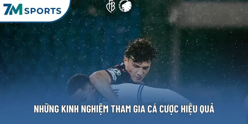 Những kinh nghiệm tham gia cá cược hiệu quả