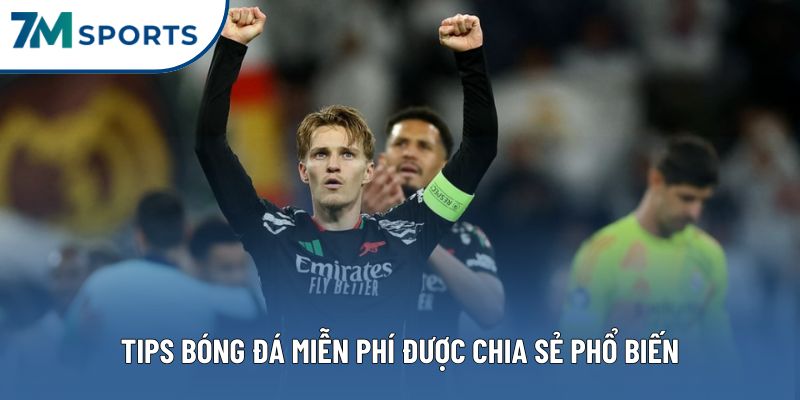 Tips bóng đá miễn phí được chia sẻ phổ biến trên Internet Tips bóng đá miễn phí được chia sẻ phổ biến trên Internet